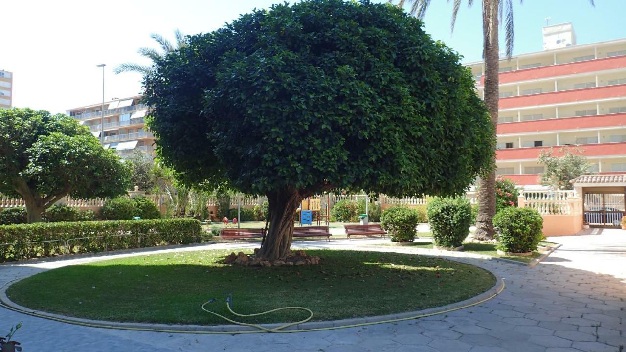 Apartmán Tortuga Flat Alicante Exteriér fotografie